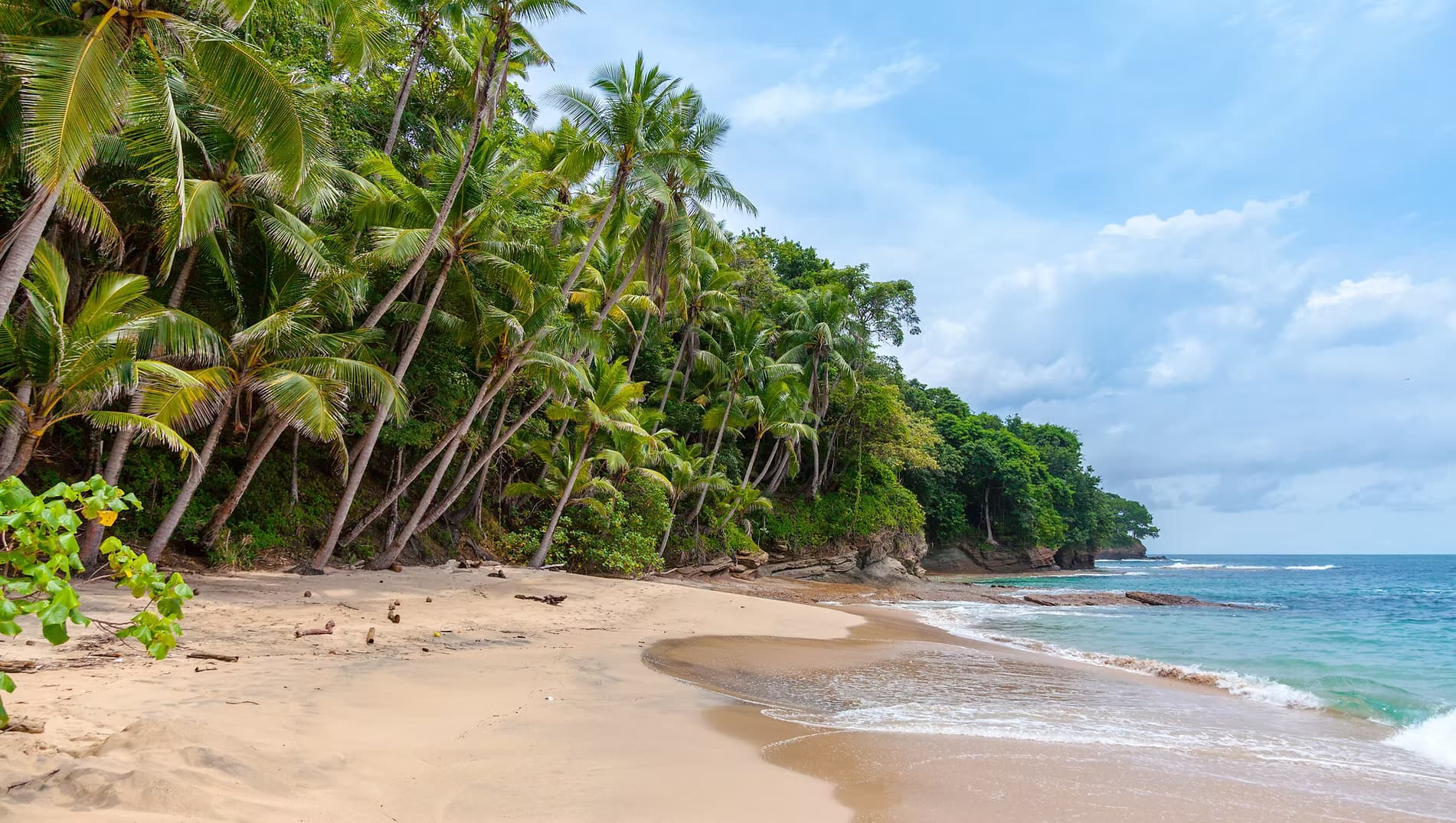 Panama nature and diversity